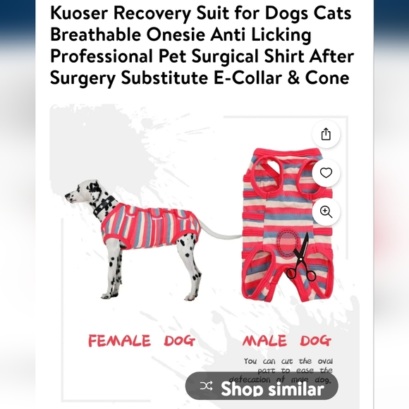 Recovery suit for dogs/cats size small - Picture 4 of 5